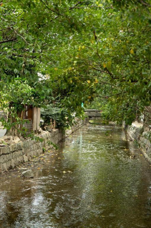 Kyoto Hatsune Hotel Exterior photo
